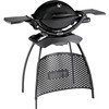 Weber Q 2200 Stand