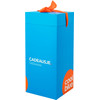 Cadeausje hoog (160x160x370)