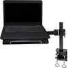 Neomounts NOTEBOOK-D100 Laptop Desk Mount Black