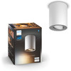 Philips Hue Pillar 1-Spot opbouwspot White Ambiance Wit