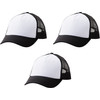 Cricut Trucker Hat (3 pack)