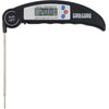 Grill Guru Core Thermometer