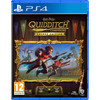 Harry Potter: Quidditch Champions Deluxe Edition PS4