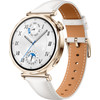 Huawei Watch GT5 Gold/White 41mm