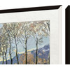 TCL Frame Black 55 Pouces