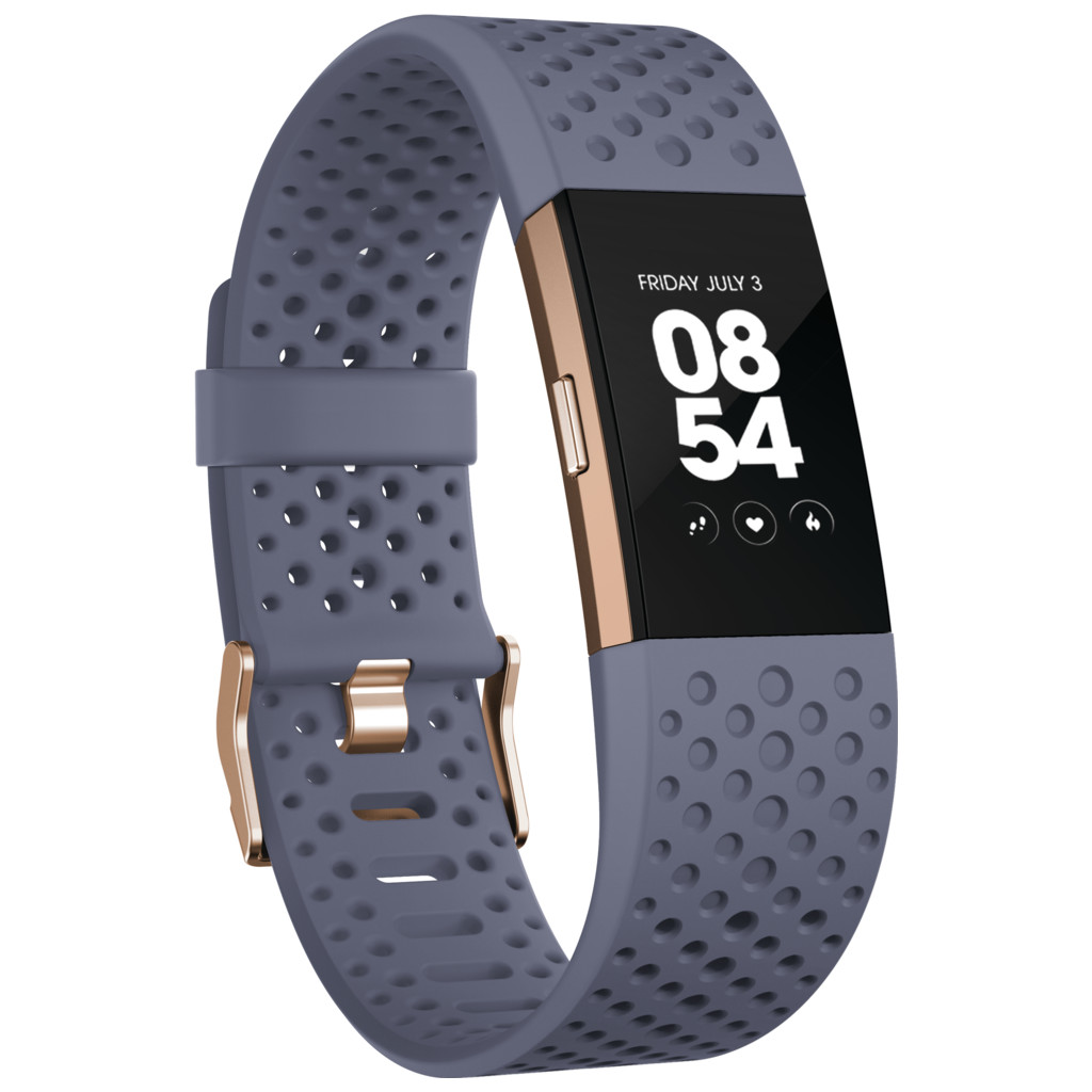 Fitbit Charge 2 Blue/Grey Sport - L