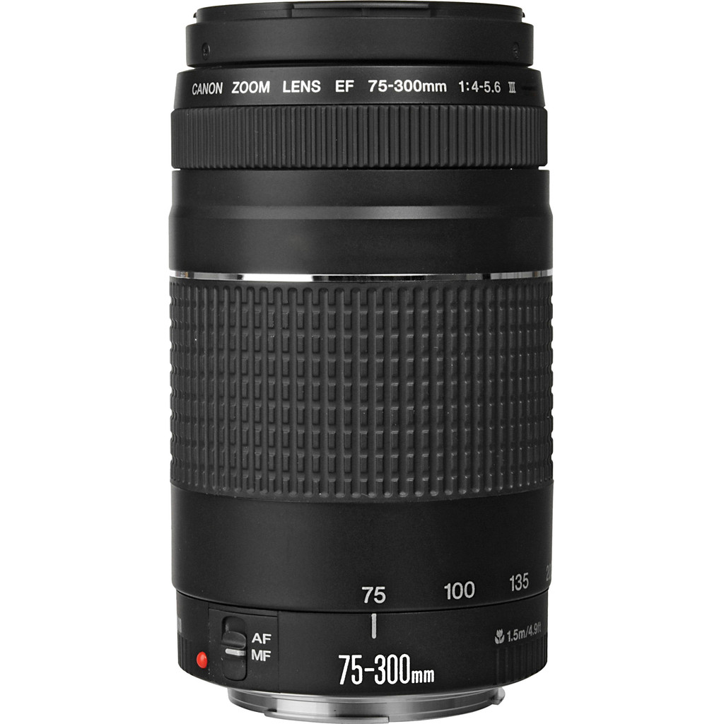 Canon EF 75-300mm f/4.0-5.6 III