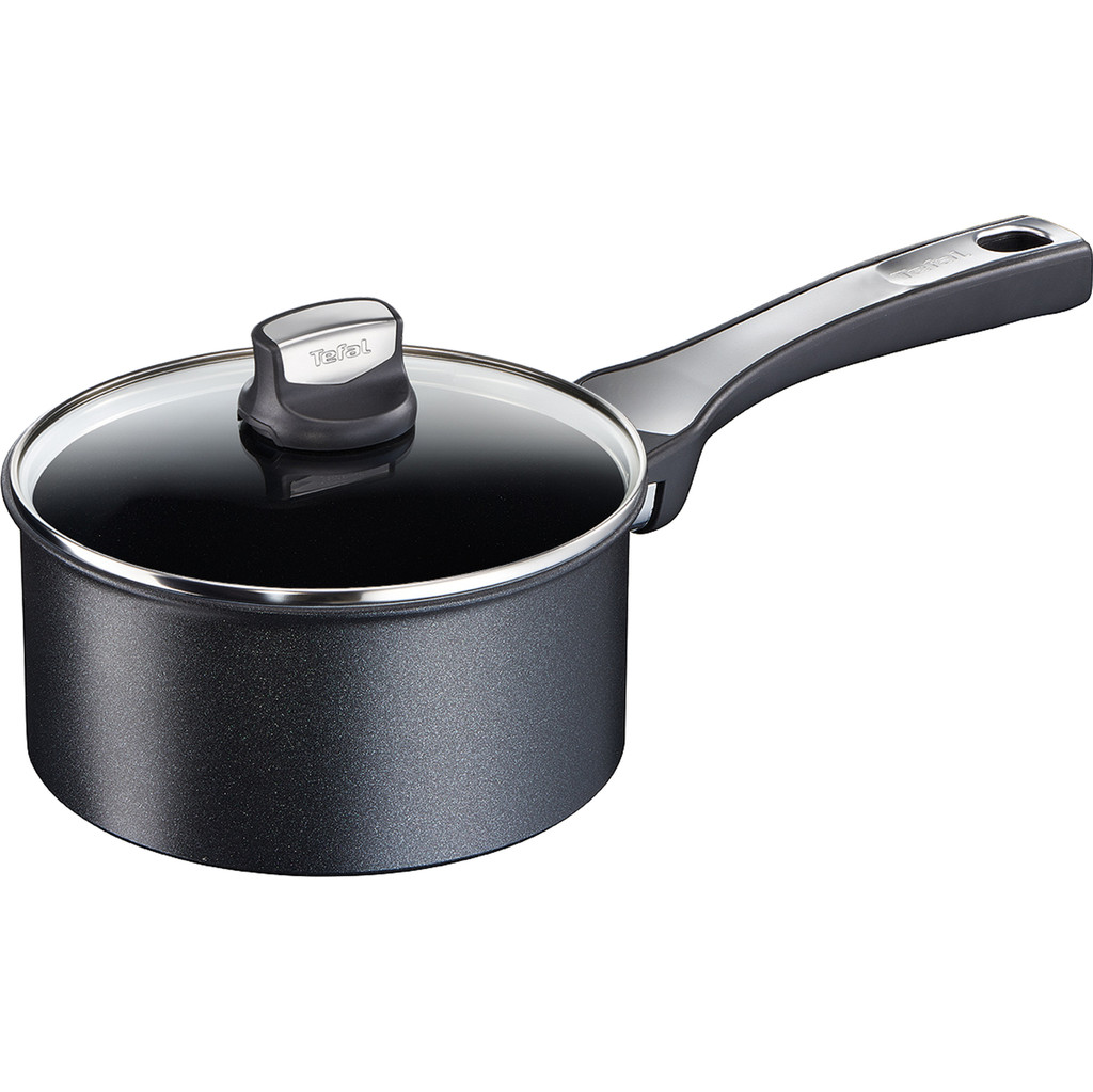 Tefal Expertise (Gv5) C62028 Steelpan 16 cm
