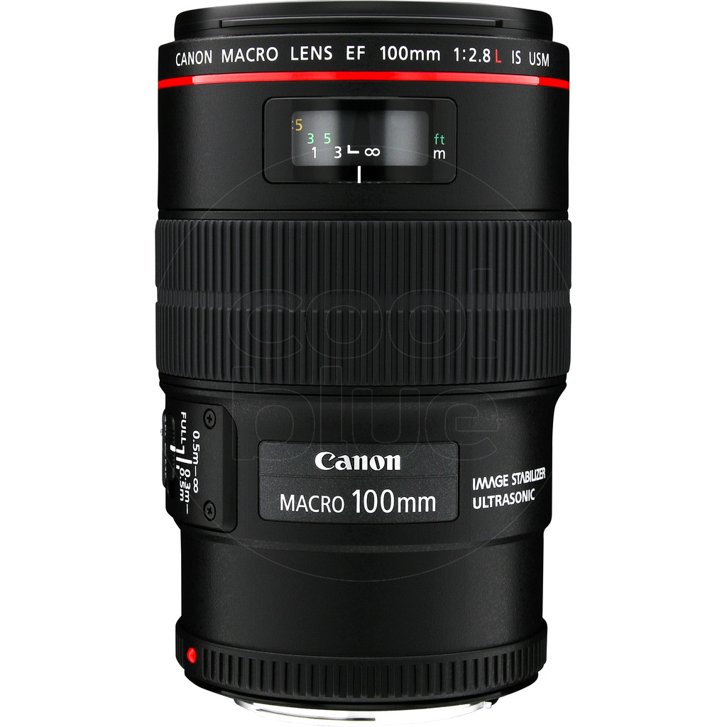 Canon EF 100mm f/2.8L Macro IS USM