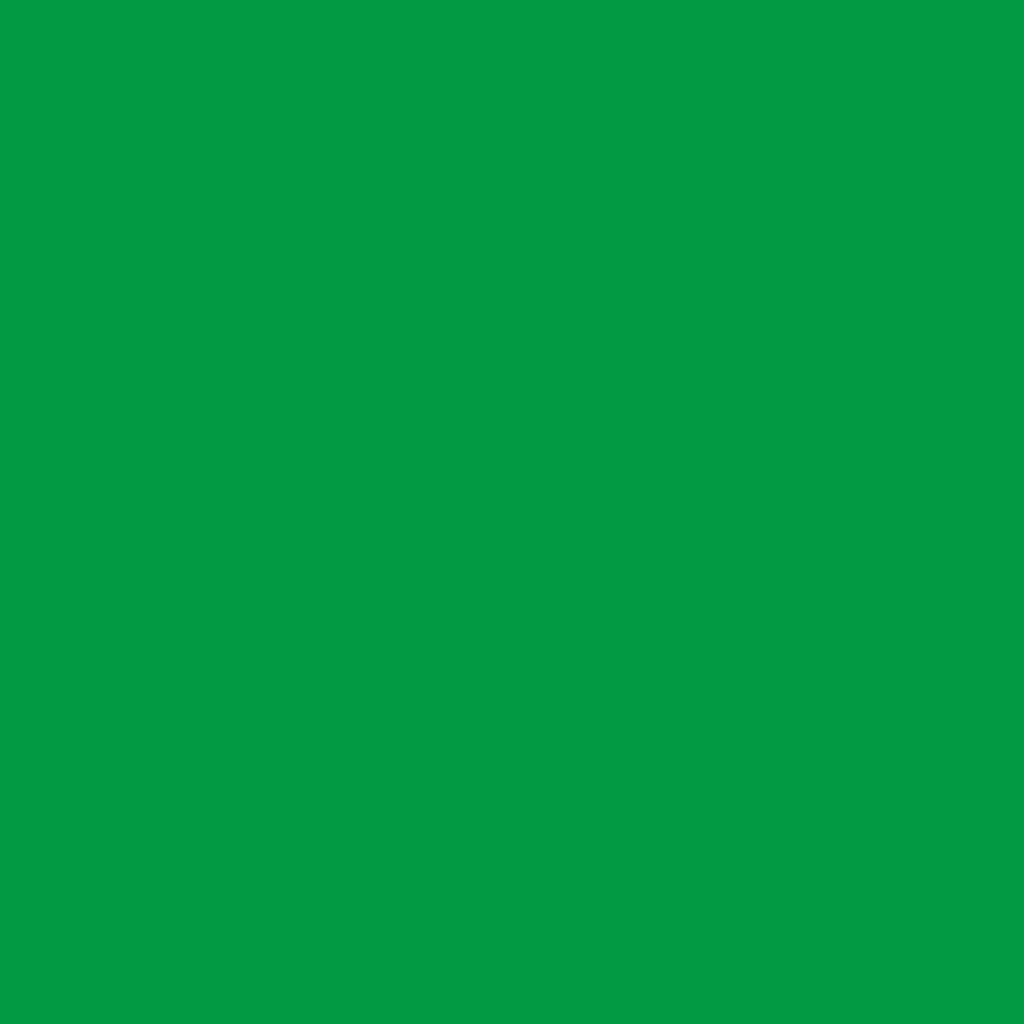 Falcon Eyes Achtergronddoek Chroma Groen 2,9 x 5 m