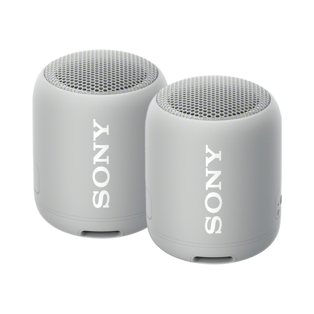 Afbeelding van de Sony SRSXB12 Duopack Grijs