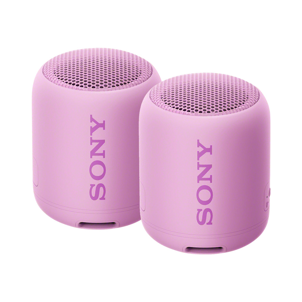 Afbeelding van de Sony SRSXB12 Duopack Violet