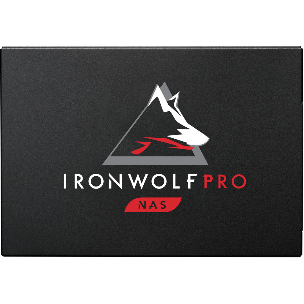 Seagate IronWolf 125 Pro 500 GB