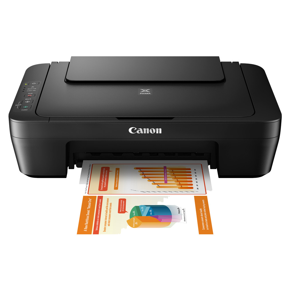 Canon PIXMA MG2550s