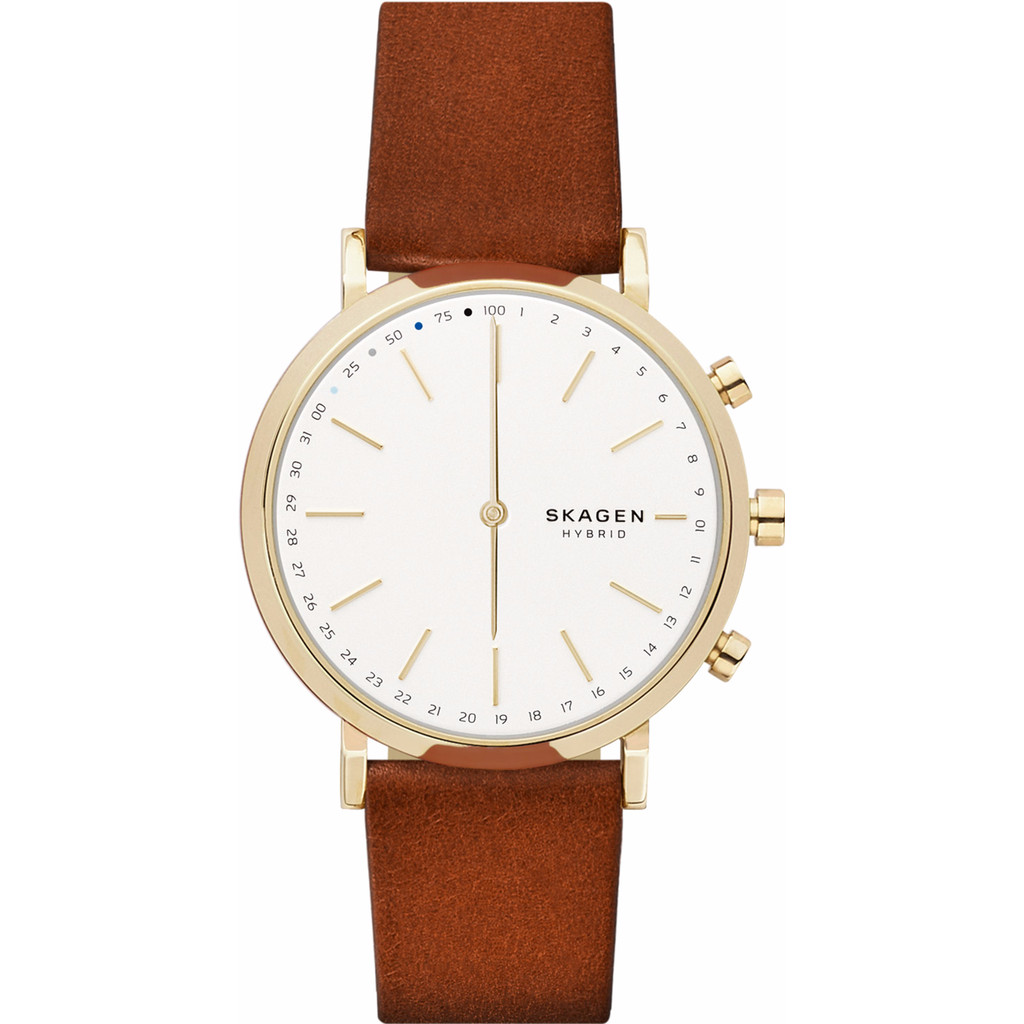 Skagen Hald Connected Hybrid Goud/Bruin