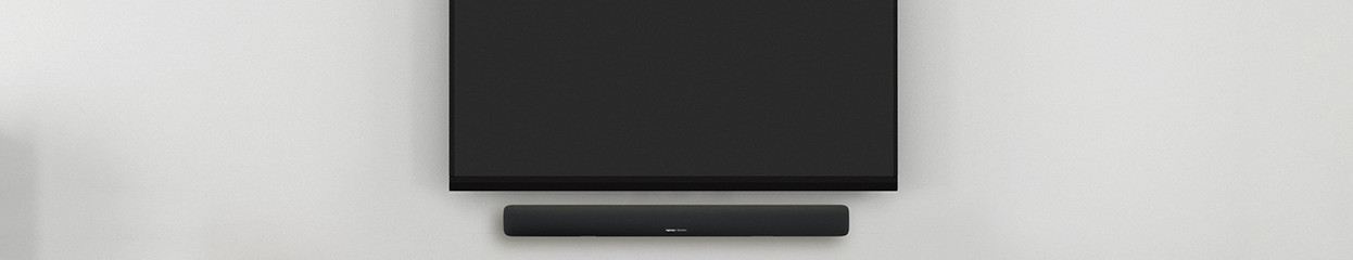 Which Harman Kardon devices can you connect to your TV