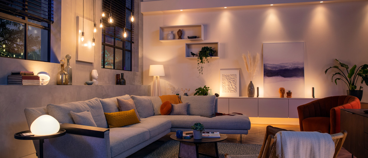 Manifesteren Geruïneerd sieraden Philips Hue lamp kopen? - Coolblue - Voor 23.59u, morgen in huis