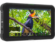 Atomos Shinobi