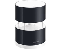 Netatmo Windmeter