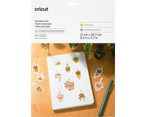 Cricut Printbaar Vinyl Goud A4 (10 vellen)