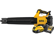 DeWalt 18V XR Axiale 5,0 Ah Accu Starterspakket