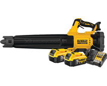 DeWalt 18V XR Axiale 5,0 Ah Accu (2x) Starterspakket