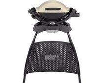 Weber Q1000 Stand Titan