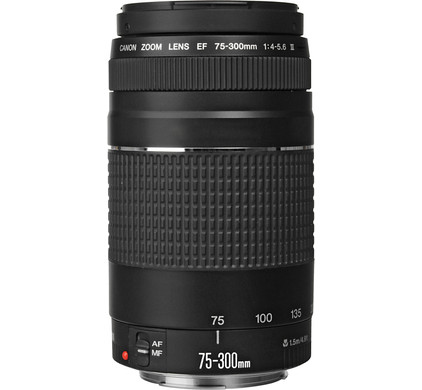 Canon Ef 75 300mm F 4 0 5 6 Iii Coolblue Before 23 59 Delivered Tomorrow