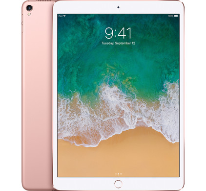 Ipad mini rose deals gold