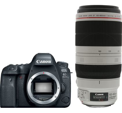 Canon EOS 6D Mark II + EF 100-400mm f/4.5-5.6L IS II USM