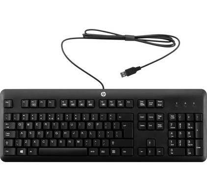 Aardbei vredig afstand HP USB Toetsenbord QY776AA Qwerty - Coolblue - Voor 23.59u, morgen in huis