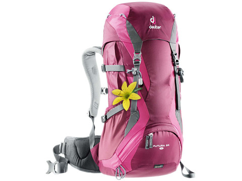 Deuter Futura 24 SL Blackberry / Magenta | Coolblue | Backpacks