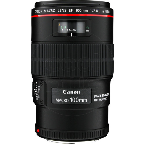Canon EF 100mm f/2.8L Macro IS USM