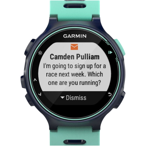 Garmin Forerunner 735XT Frost Blauw