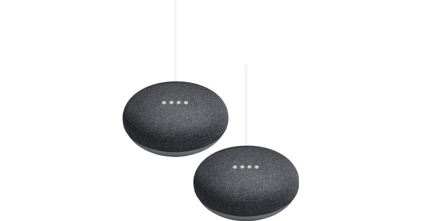 Google home hot sale mini google duo