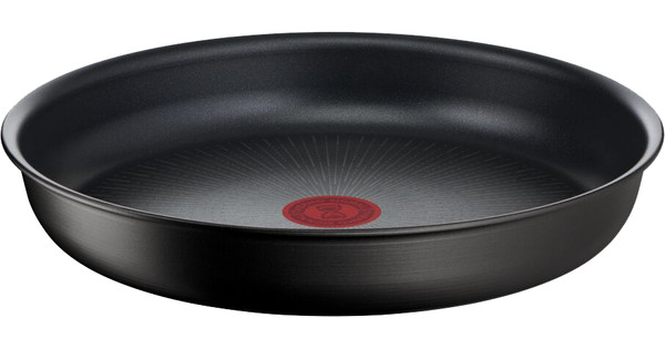 Tefal Ingenio Pro Stainless Steel Frying Pan for All Heat Sources