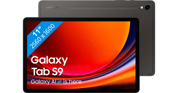 Samsung Galaxy Tab S9 11 inch 256 GB Wifi + 5G Zwart