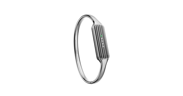 Fitbit Flex 2 Bangle Polsband Silver S