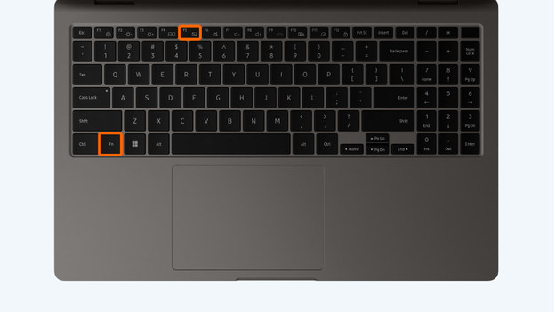 Het toetsenbord van een Windows laptop met fn en touchpad icoon omcirkelt. 