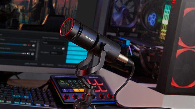 Professionele microfoon