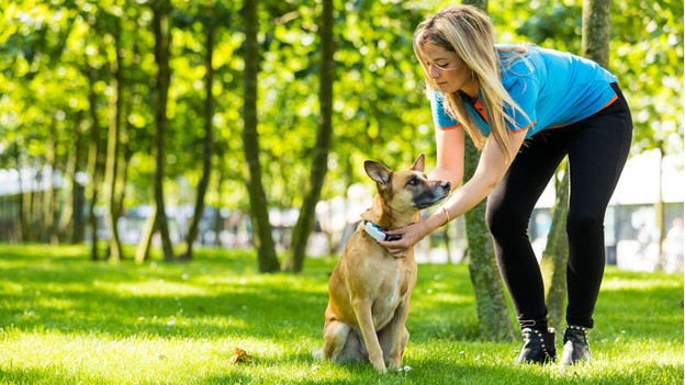 Tractive GPS tracker om doen
