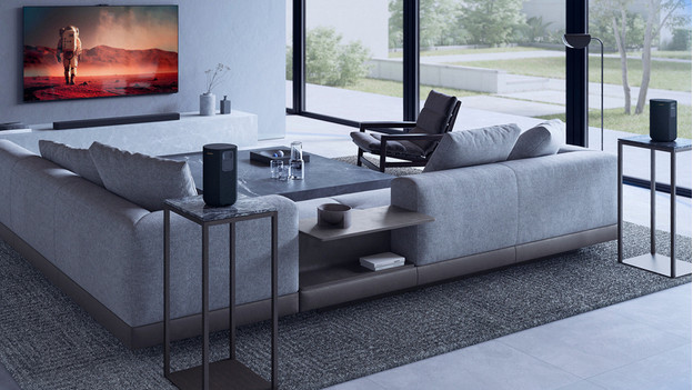 Sony achterspeakers