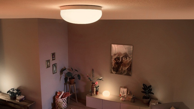 Philips Hue ceiling lamp