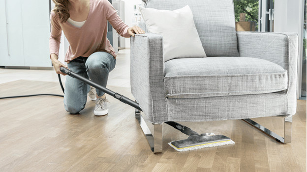 Steam cleaner deals for wooden floors