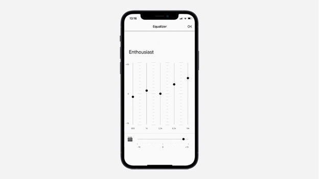 Frequency bands equalizer