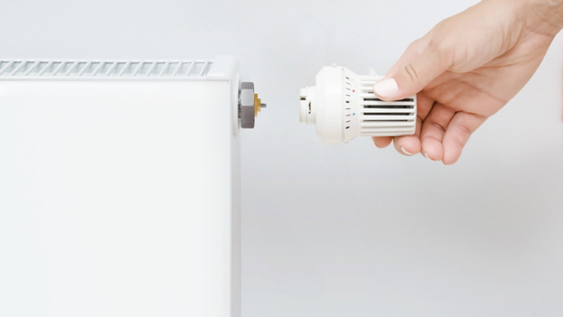 rekenkundig Intimidatie investering Is je radiator geschikt voor een slimme radiatorknop? - Coolblue - alles  voor een glimlach