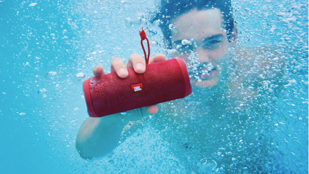 Speaker underwater