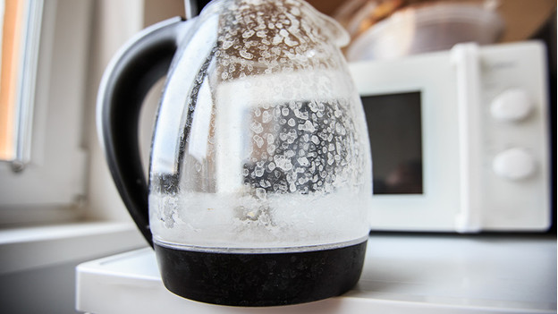 Decalcify sales electric kettle