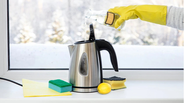 How do I prepare my electric electric kettle for use? - Coolblue - anything  for a smile