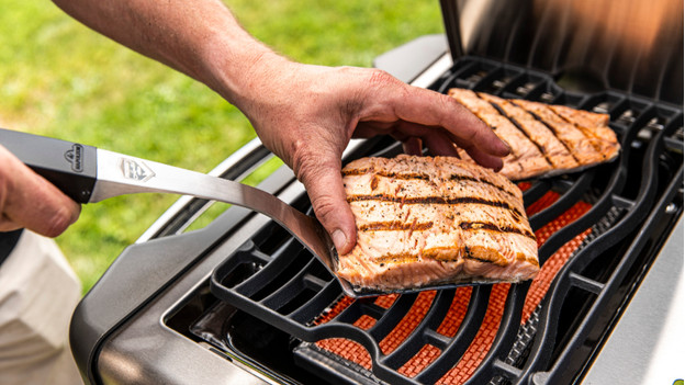 Infraroodbrander gas buitenkeuken korte grilltijden